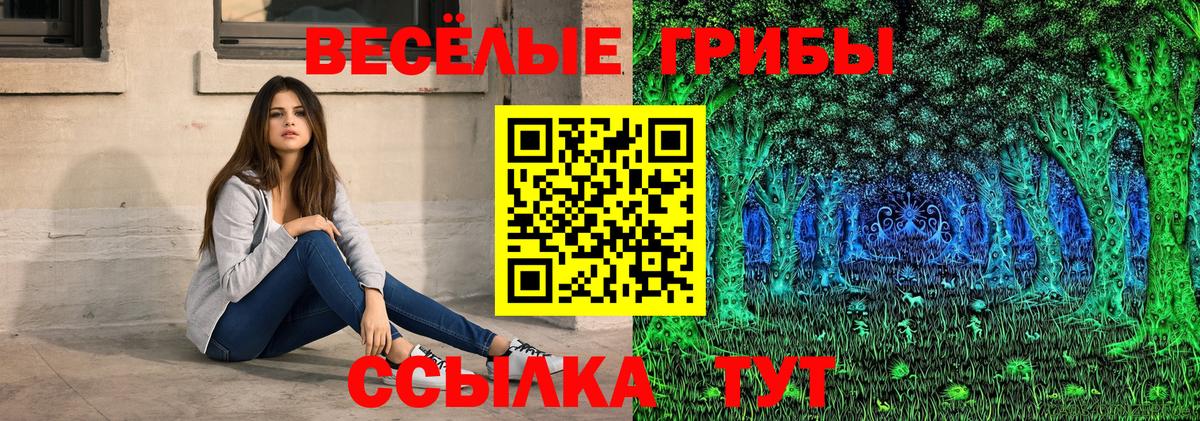 Псилоцибиновые грибы Psilocybine cubensis  Вход с VPN  наркота  Шали 